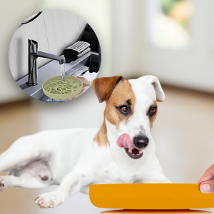 Chien léchant une gamelle jaune en silicone anti-glouton, gros plan sur rinçage facile sous l’eau, médaille chien.