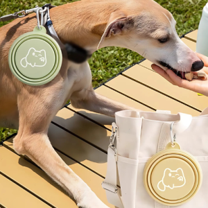 Chien mangeant une friandise en laisse, gamelle verte à côté et bol beige clipsé à sac blanc, avec médaille chien.