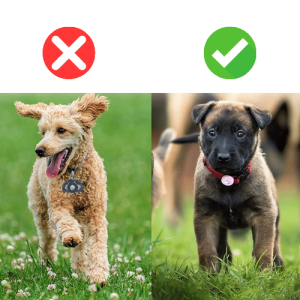 Support Airtag pour Collier – Étui en Silicone Souple Compatible Apple Airtag, pour Collier de Chien ou Chat Support Airtag pour Collier – Étui en Silicone Souple Compatible Apple Airtag, pour Collier de Chien ou Chat