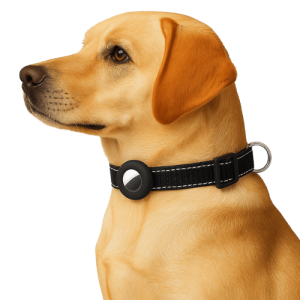 Support Airtag pour Collier – Étui en Silicone Souple Compatible Apple Airtag, pour Collier de Chien ou Chat Support Airtag pour Collier – Étui en Silicone Souple Compatible Apple Airtag, pour Collier de Chien ou Chat