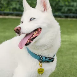 Médaille Chien Cœur Or Luxe