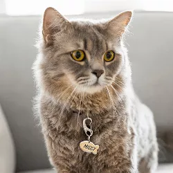 Médaille Poisson Argent