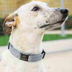 Médaille Chien Coulissante Noir